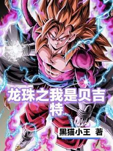 龙珠之我是贝吉塔飞卢