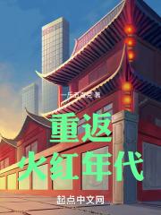 重返火红年代顶点阅读