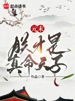 元末朕才是真命天子无弹窗网