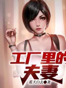 工厂里的夫妻2大结局