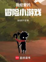 冒险猫小游戏