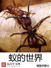 蚁的世界怎么不写了
