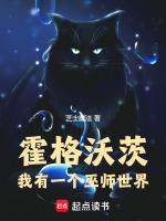 我的霍格沃茨有大