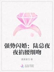 强势宠妻陆先生爱她入骨