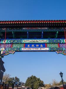 四合院不甘心的许大茂