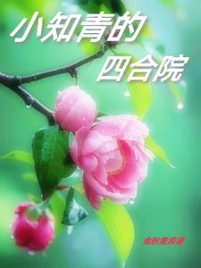 小知青的四合院晋江