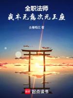 全职法师我本无意次元王座起点中文网