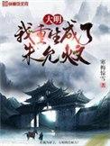 大明我重生成了朱允炆 书评