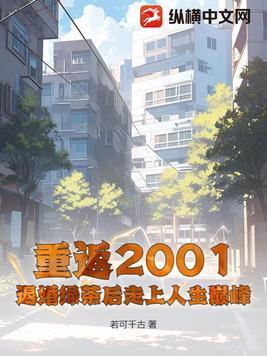 重返2001百度百科