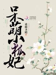 呆萌小狐妻免费高速