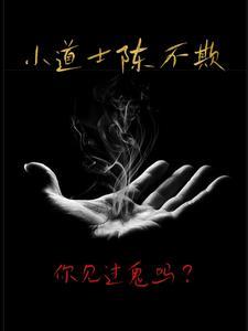 小道士陈不欺全文阅读