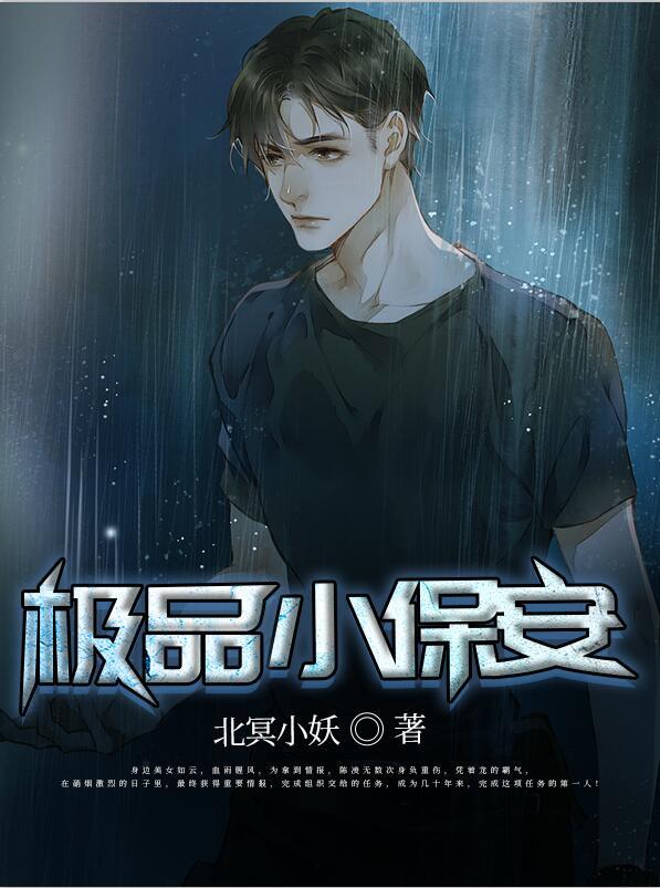 极品小保安百度