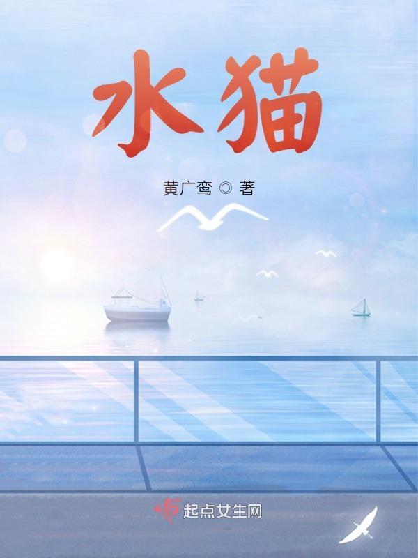 四合院下的宝藏一只汽水猫