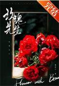 玫瑰先生讲的是什么故事