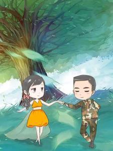 穿书七零女配海岛随军的平淡幸福全文阅读