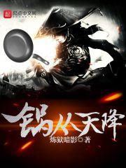 锅从天降1-100集全集