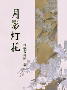 月影的灯具怎么样