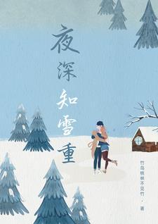夜深知雪重笔趣阁