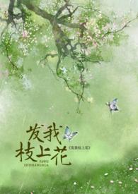 发我枝上花TXT盘