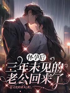 三年未见的老公回来了大解局