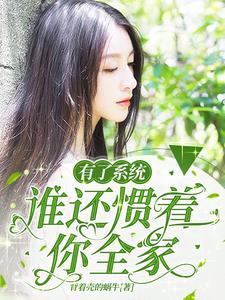 系统有我老婆重要吗