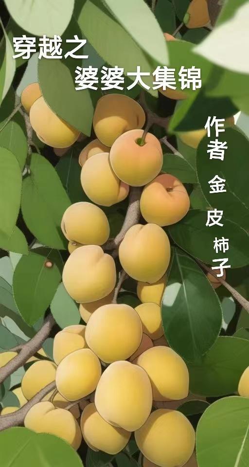 穿越之婆婆大集锦txt