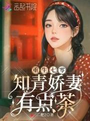 重生七零知青娇妻有点茶TXT免费