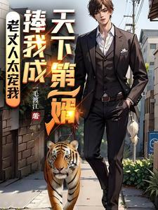 天下第一兵女婿