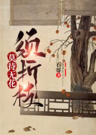 书名莫待无花空折枝