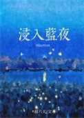浸入蓝夜TXT百度资源