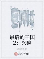 最后的三国2兴魏校对版