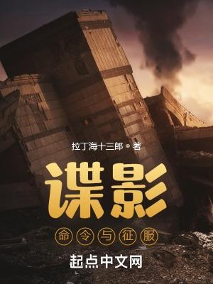 谍影命令与征服原著