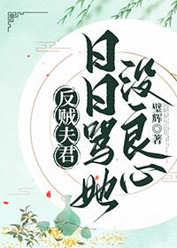 反贼夫君日日骂她没良心资源