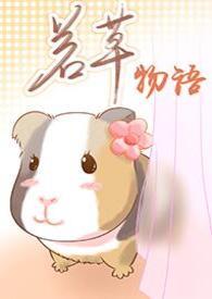 若草物语动画免费观看