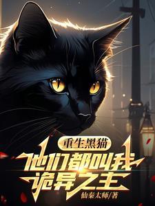 我师兄实在太稳健了境界划分介绍