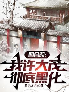 四合院许大茂的美丽人生