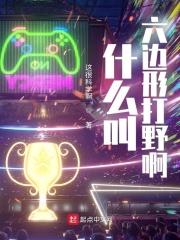 六边形是啥意思