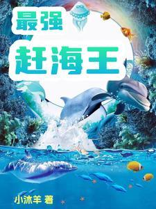 赶海王安卓