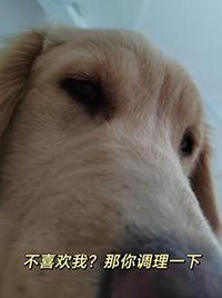 你不喜欢我的句子