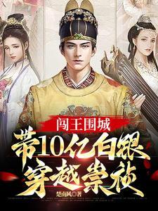 带10亿白银穿越崇祯正版