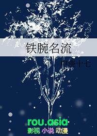 铁腕txt