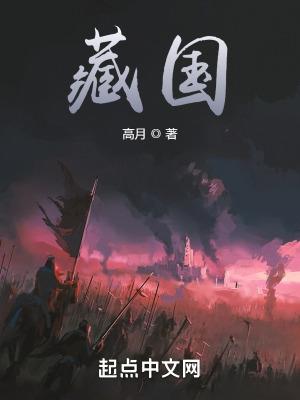 藏国全本免费TXT