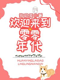 欢迎来到零零年代无妨盗