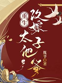 重生改嫁太子他爹胤爷