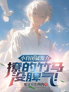 自闭症小公子txt