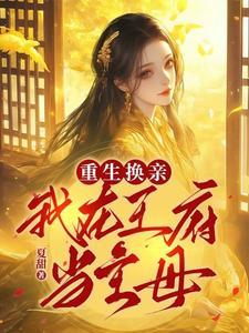 重生换亲我在王府当主母短剧介绍