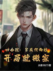 四合院开局将何雨水