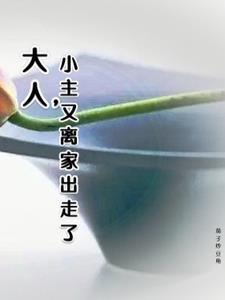 大人离家出走了报警有没有用