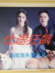 仕途狂飙免费阅读网站