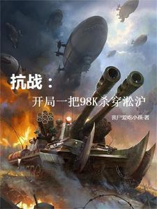 穿越淞泸会战